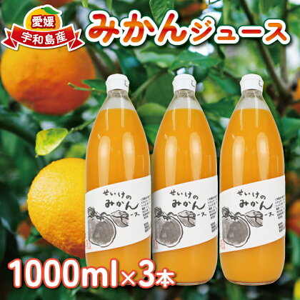 みかん ジュース 1,000ml×3本 清家 100％ ストレート 温州みかん みかんジュース 果汁 飲料 果物 フルーツ ギフト プレゼント 国産 愛媛 宇和島 H012-170001