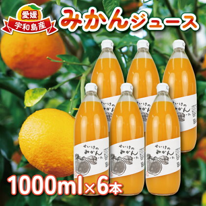 みかん ジュース 1,000ml×6本 清家 100％ ストレート 温州みかん みかんジュース 果汁 飲料 果物 フルーツ ギフト プレゼント 国産 愛媛 宇和島 H024-170002