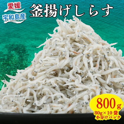 釜揚げしらす 80g × 10袋 計 800 g 時栄水産 冷凍 小分け 魚 さかな しらす ちりめん しらす丼 おつまみ 加工品 ふりかけ 海の幸 魚 魚介 高級 産地直送 数量限定 国産 愛媛 宇和島 D010-174001