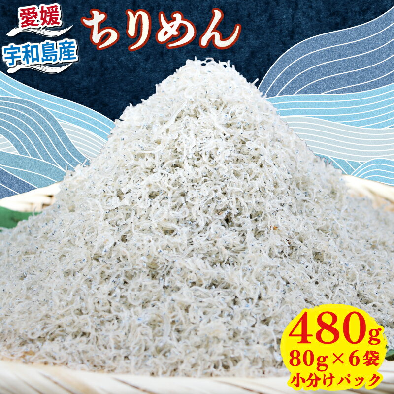 【ふるさと納税】 ちりめん 80g × 6袋 計 480g 時栄水産 しらす じゃこ ちりめんじゃこ しらす干し ちりめん干し 冷蔵 おつまみ 加工品 ふりかけ 弁当 おにぎり 天日干し カタクチイワシ 高級 数量限定 産地直送 国産 愛媛 宇和島 D010-174002