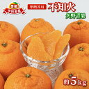【ふるさと納税】 準 贈答用 不知火 5kg 矢野青果 しらぬい 先行予約 高級 希少 限定 品種 ブランド 高級柑橘 甘い 果物 くだもの フルーツ 柑橘 みかん 蜜柑 愛媛蜜柑 愛媛みかん mikan 贈答 ギフト プレゼント 産地直送 数量限定 国産 愛媛 愛媛県 宇和島 B012-171018