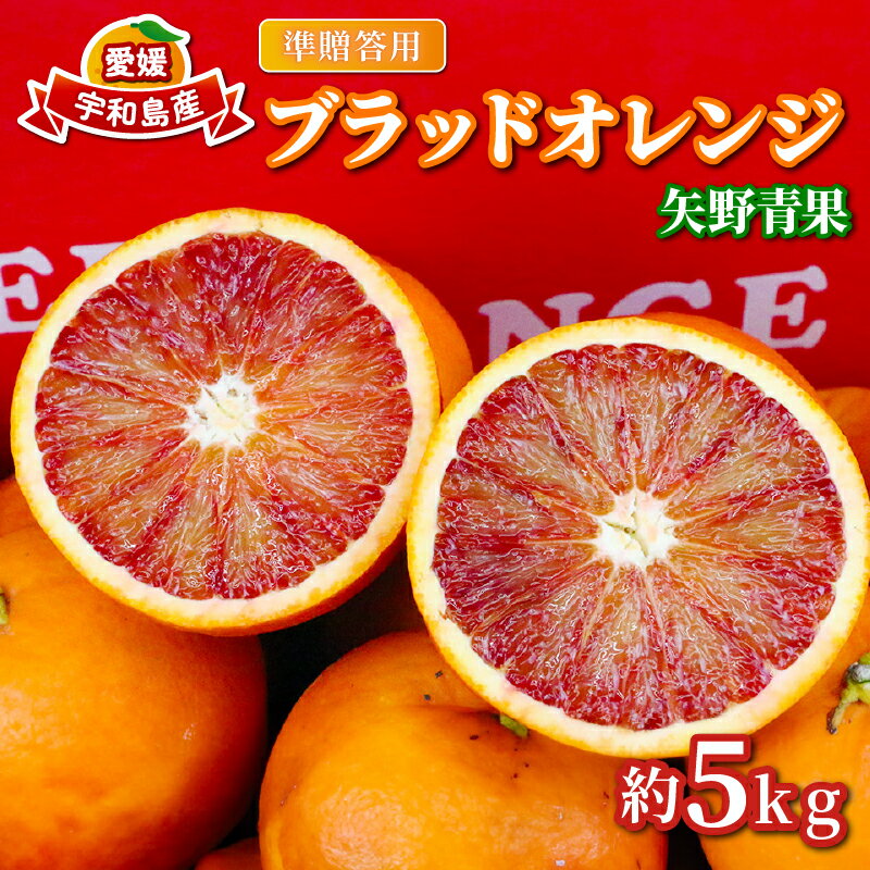 【ふるさと納税】 準 贈答用 ブラッドオレンジ 5kg 矢野青果 オレンジ みかん 柑橘 果物 くだもの オレンジフルーツ フルーツ 濃厚 甘い 甘味 蜜柑 準贈答用 贈答品 贈答 ギフト プレゼント 産地直送 農家直送 数量限定 国産 愛媛 宇和島 B010-171020のサムネイル