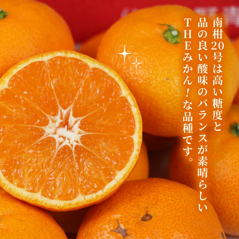 【ふるさと納税】あんぽ柿 贈答用 秀品 9個入り 化粧箱 | フルーツ くだもの 果物 柿 かき カキ あんぽ柿 奈良県 五條市 干し柿 スイーツ お菓子 ギフト 化粧箱 干し柿 スイーツ お菓子 ギフト 坂口農園