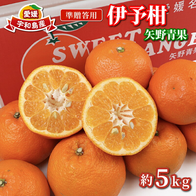 準 贈答用 伊予柑 みかん 5kg 矢野青果 いよかん 果物 くだもの フルーツ 濃厚 甘い 甘味 蜜柑 準贈答用 贈答品 贈答 ギフト プレゼント 産地直送 農家直送 数量限定 国産 愛媛 宇和島