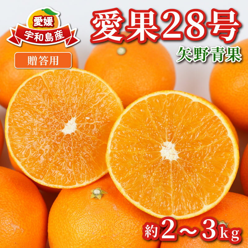 贈答用 愛果28号 2 ~ 3kg 化粧箱入 矢野青果 高級 ブランド 限定 品種 甘い ゼリー プルプル 果物 フルーツ 柑橘 みかん 数量限定 産地直送 国産 愛媛 宇和島