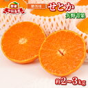 【ふるさと納税】 せとか 2 ~ 3kg 贈答用 矢野青果 柑橘の 大トロ 高級 希少 限定 品種 ブランド 高級柑橘 甘い 果物 くだもの フルーツ 柑橘 み...