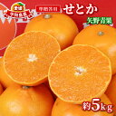【ふるさと納税】 せとか 5kg 準 贈答用 矢野青果 柑橘の 大トロ 高級 希少 限定 品種 ブランド 高級柑橘 甘い 果物 くだもの フルーツ 柑橘 みかん...