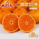 【ふるさと納税】 訳あり みかん 南柑20号 9kg 先行予約 まる玉農園 温州みかん 蜜柑 温州 うんしゅう 柑橘 濃厚 甘い mikan 酸味 果物 くだもの 訳アリ 訳あり品 訳有り わけあり 愛媛みかん 愛媛県産 フルーツ 産地直送 農家直送 数量限定 国産 愛媛 宇和島 B010-172001(4)