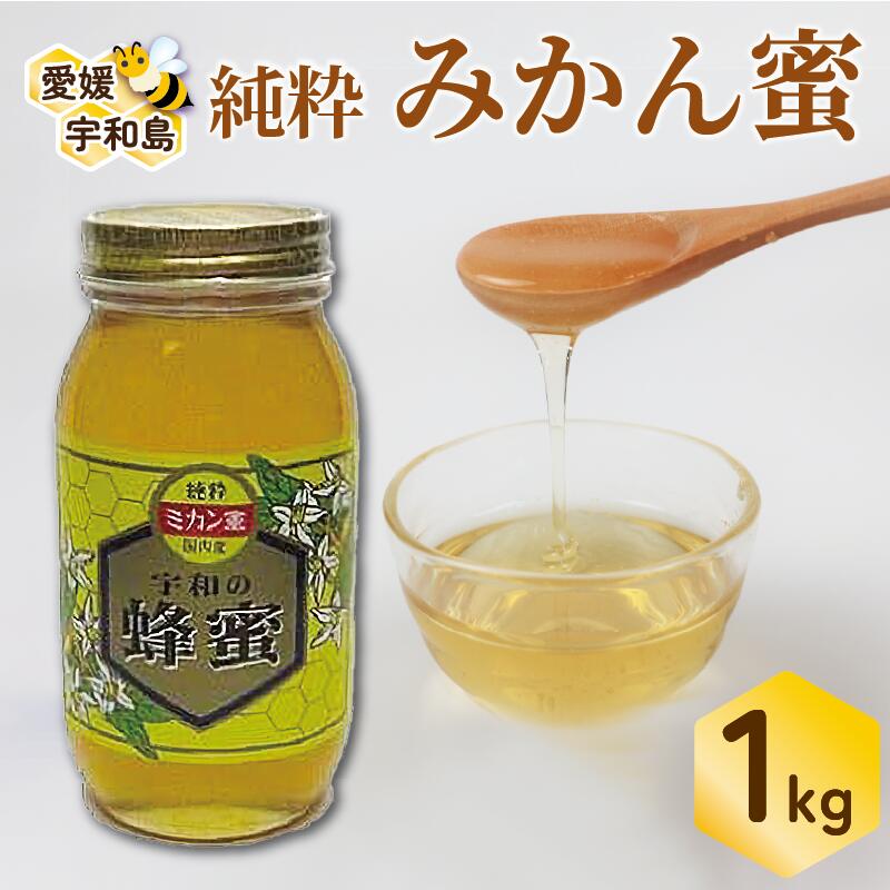 【ふるさと納税】 みかん蜜 1kg ギフト箱入 非加熱 元気