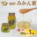 【ふるさと納税】 みかん蜜 選べる 300g 〜 1kg 元気や 非加熱 はちみつ 国産はちみつ みかん蜂蜜 みかん 蜜柑 柑橘 純粋はちみつ 生はちみつ 生蜂...