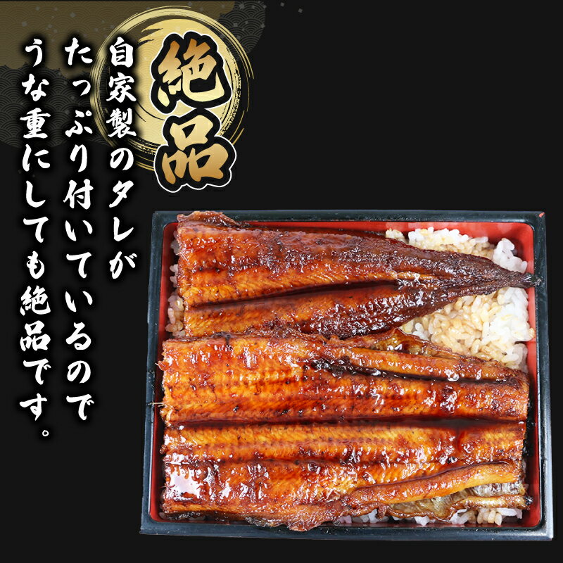 【ふるさと納税】 うなぎ国産 うなぎ蒲焼 選べる 内容量 1尾 ~ 3尾 約 170g ~ 540g タレ付き タレ 蜂蜜 入り 河野鮮魚店 手作り 高級 鰻 うなぎ ウナギ unagi 養殖 本格 鰻蒲焼 国産鰻 はちみつ 頭付き 蒲焼 蒲焼き うなぎの蒲焼 うな重 ひつまぶし 冷凍 国産 愛媛 宇和島
