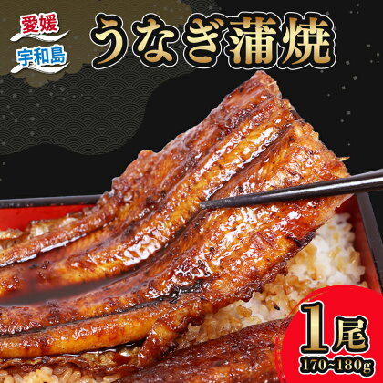 うなぎ蒲焼 170 ~ 180g 1尾 河野鮮魚店 高級 鰻 うなぎ 養殖鰻 養殖うなぎ 本格 鰻蒲焼 頭付き 蒲焼 タレ付き タレ 蜂蜜 入り 国産うなぎ 蒲焼 うな重 ひつまぶし 冷凍 真空パック 湯煎 簡単調理 惣菜 温めるだけ 国産 愛媛 宇和島 D014-177002