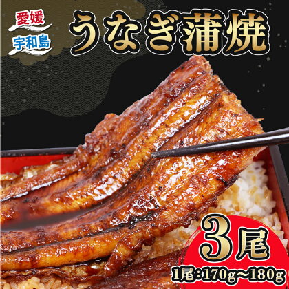 うなぎ蒲焼 170 ~ 180g × 3尾 河野鮮魚店 高級 鰻 うなぎ 養殖鰻 養殖うなぎ 本格 鰻蒲焼 頭付き 蒲焼 タレ付き タレ 蜂蜜 入り 国産うなぎ 蒲焼 うな重 ひつまぶし 冷凍 真空パック 湯煎 簡単調理 惣菜 数量限定 国産 愛媛 宇和島 D042-177004