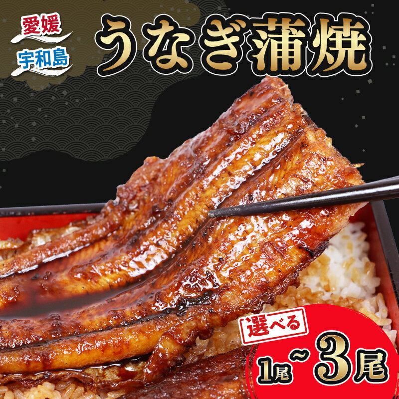 【ふるさと納税】 うなぎ国産 うなぎ蒲焼 選べる 内容量 1尾 ~ 3尾 約 170g ~ 540g...