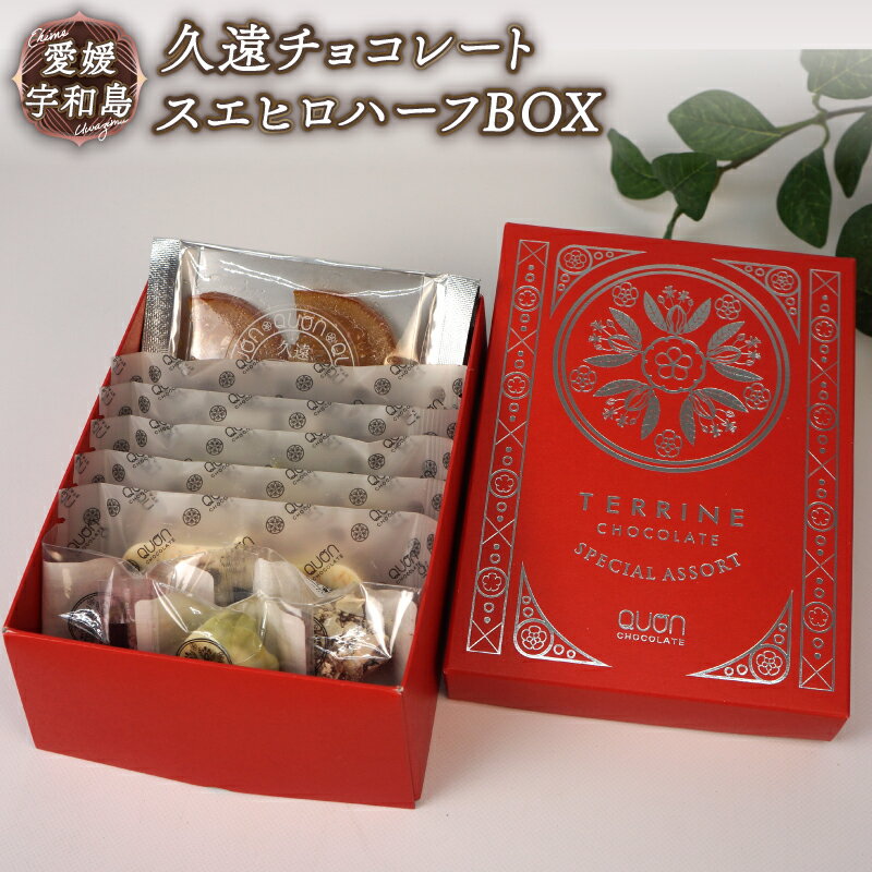 【ふるさと納税】 チョコ セット おすすめ 久遠チョコレート スエヒロハーフBOX テリーヌ ロッシェ オランジェ おまかせ チョコレート ドライフルーツ フル...