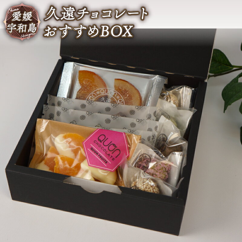チョコ セット おすすめ 久遠チョコレート おすすめBOX テリーヌ ロッシェ フルーツミニ オランジェ おまかせ チョコレート フルーツ 焼き菓子 洋菓子 菓子 お菓子 スイーツ ギフト プレゼント 愛媛 宇和島