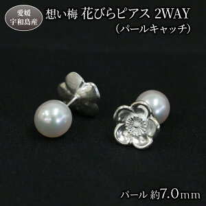 【ふるさと納税】 真珠 想い梅 花びらピアス 2WAY パールキャッチ Npearl シルバー 宇和海 アクセサリー アコヤ真珠 akoya アコヤ 本真珠 パール ピアス キャッチ ファッション 卒業式 入学式 カジュアル お祝い 人気 ギフト 贈り物 特産品 国産 愛媛 宇和島 A135-166007