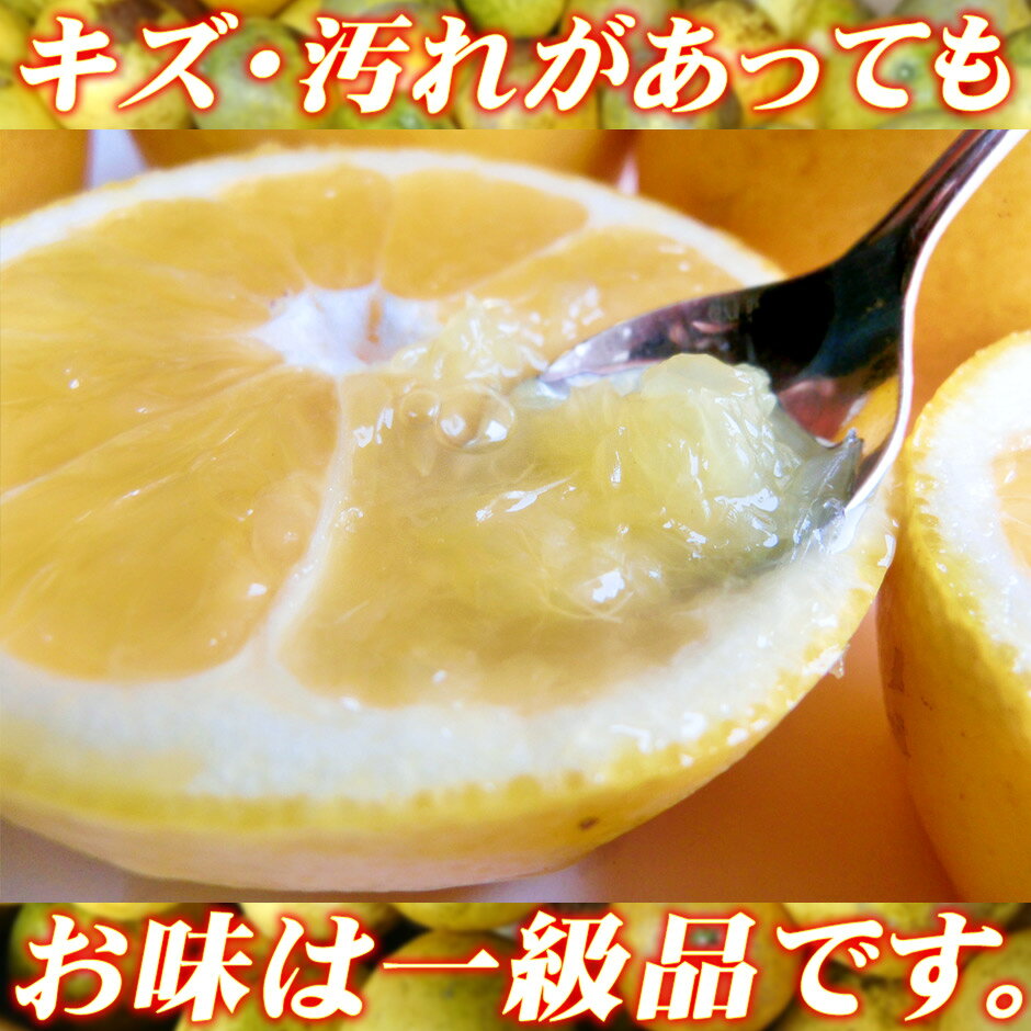 愛媛県宇和島市の画像3