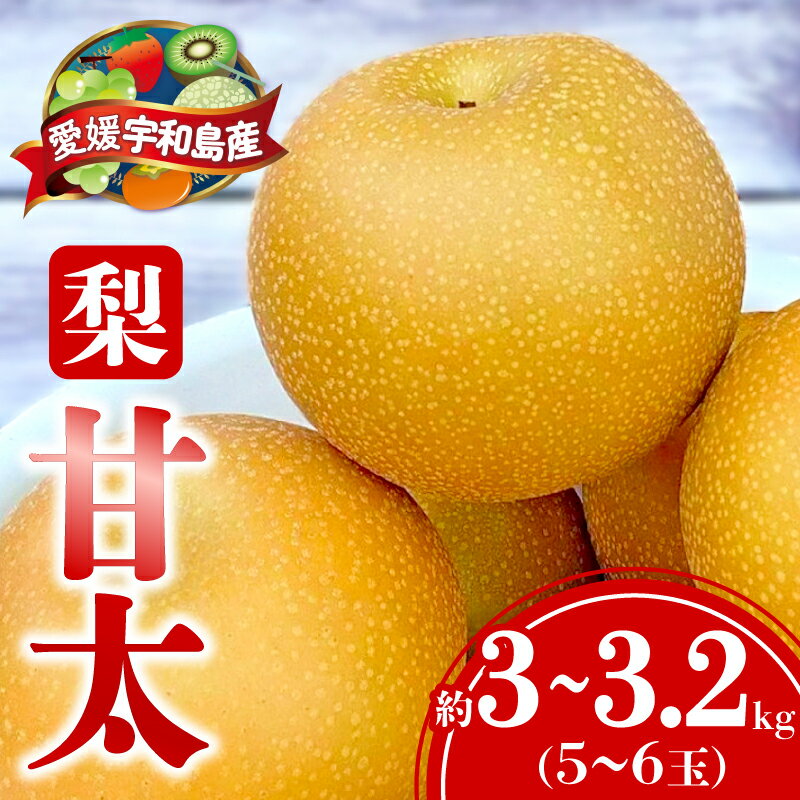 【ふるさと納税】 梨 甘太 3 ～ 3.2kg 5～6玉 大森城山麓園 なし 和梨 ナシ 新品種 果汁 甘い 人気 果物 フルーツ 産地直送 農家直送 数量限定 国産 愛媛 宇和島 F010-181001