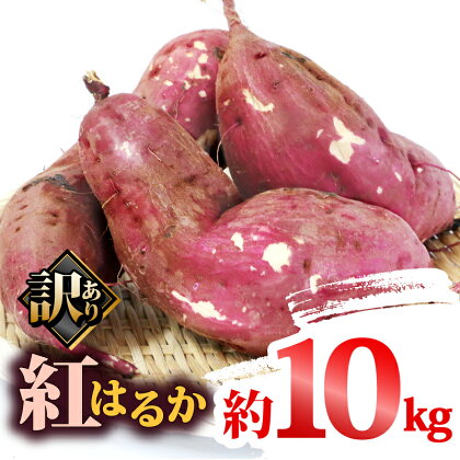 訳あり さつまいも 紅はるか 10kg 大森城山麓園 わけあり さつま芋 サツマイモ 野菜 やさい 栽培期間中 農薬 不使用 根菜 イモ 芋 産地直送 農家直送 数量限定 国産 愛媛 宇和島 F010-181002