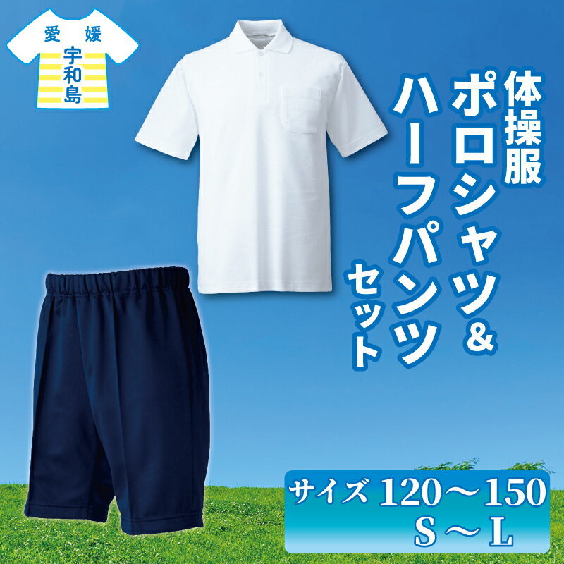 【ふるさと納税】 服 体操服 半袖 ポロシャツ ハーフパンツ 右後ろ 貼りポケット セット 愛媛河合