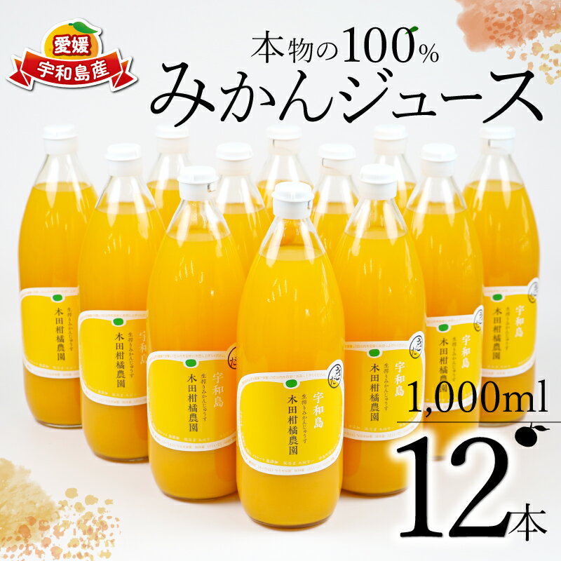 【ふるさと納税】本物の 100％ みかん ジュース 1,000ml × 12本 木田柑橘農園 ストレート 温州みかん ...