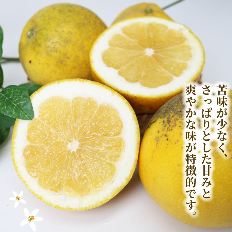 愛媛県宇和島市の画像3