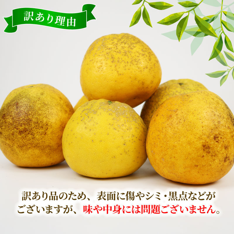 愛媛県宇和島市の画像2