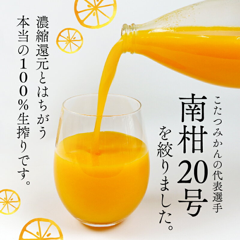 愛媛県宇和島市の画像2