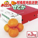 【ふるさと納税】 せとか 高級柑橘 優品 3kg 先行予約 えひめ南農業協同組合直販センター JA 柑橘 の 大トロ 果物 フルーツ 愛媛ミカン 愛媛蜜柑 愛媛...