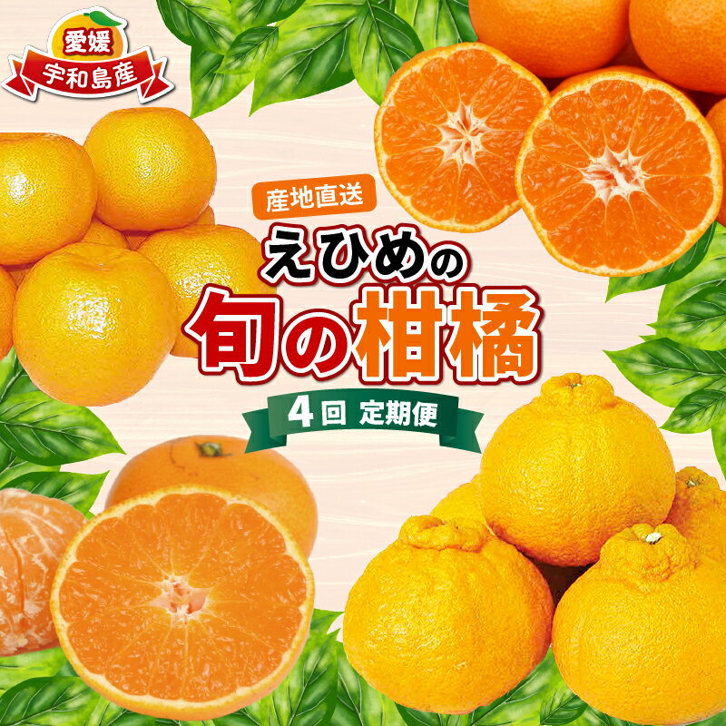 【ふるさと納税】 愛媛みかん えひめの旬の柑橘 産地直送 4回 定期便 えひめ南農業協同組合直販センター JA 早生温州 南柑20号 ポンカン 約10kg デコポン 約5kg 蜜柑 みかん mikan 果物 くだもの フルーツ 柑橘 農家直送 産地直送 数量限定 国産 愛媛 宇和島 B080-009011