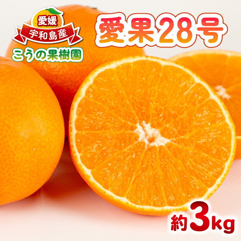 愛果28号 約3kg こうの果樹園 みかん 愛媛ミカン 愛媛蜜柑 mikan 柑橘 果物 くだもの フルーツ 高級 ブランド 限定 品種 濃厚 甘い 甘味 蜜柑 ゼリー プルプル 産地直送 農家直送 数量限定 国産 愛媛 宇和島