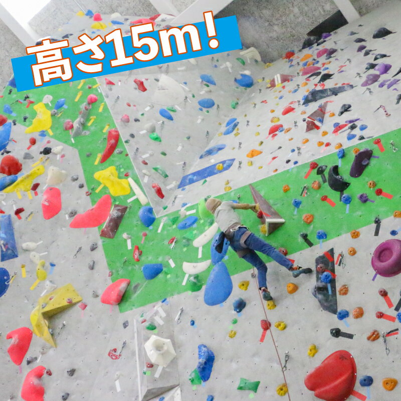 【ふるさと納税】 クライミング ボルダリング 回数券 11回分 一般 高校生 宇和島市スポーツ交流センター ロープクライミング チケット スポーツ 体験 アクティビティ オリンピック 山 岩 石 山岳 登山 家族 子供 子ども 愛媛 宇和島 L011-184001