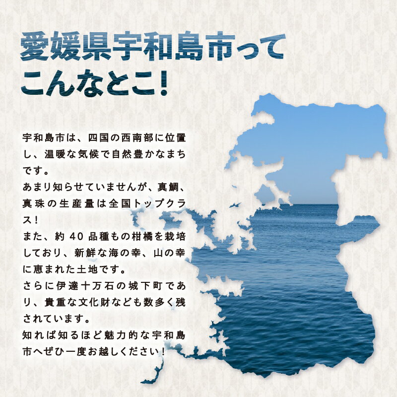 【ふるさと納税】 クライミング ボルダリング 回数券 11回分 一般 高校生 宇和島市スポーツ交流センター ロープクライミング チケット スポーツ 体験 アクティビティ オリンピック 山 岩 石 山岳 登山 家族 子供 子ども 愛媛 宇和島 L011-184001