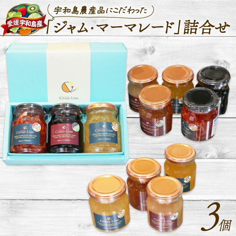 ＼10営業日以内発送/ ジャム マーマレード 詰め合わせ 130g ×3個 Citrus-Line 食べ比べ セット 果物 くだもの フルーツ 手づくり 金賞 柑橘 みかん 蜜柑 パン ヨーグルト 贈答 プレゼント ギフト 数量限定 国産 愛媛 宇和島