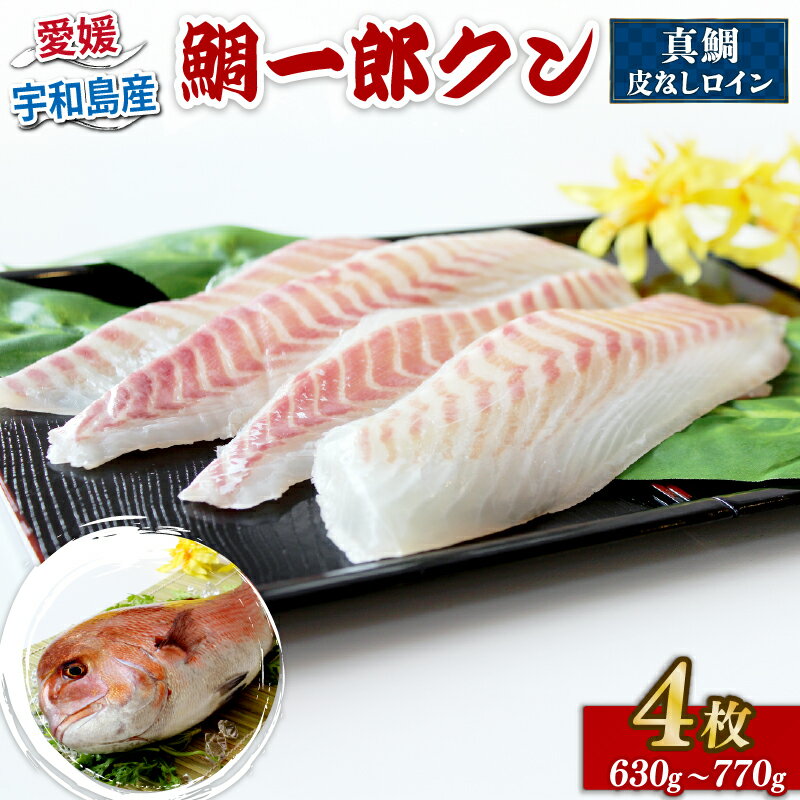 真鯛 鯛一郎クン 皮なし ロイン 4枚 株式会社タイチ 鯛 タイ たい tai マダイ まだい 養殖 刺身 お刺身 お刺し身 鯛めし 鯛茶漬け 漬け丼 丼 鯛しゃぶ しゃぶしゃぶ アレンジ 冷凍 真空パック 新鮮 産地直送 国産 愛媛 宇和島