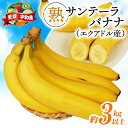 【ふるさと納税】 バナナ 熟サンテーラバナナ 計 約3kg ( 600g以上 × 5袋 ) 徳田青果 果物 くだもの フルーツ ばなな トロピカルフルーツ 南国フルーツ 熟成バナナ 甘い コク 香り 希少 朝食 おやつ スムージー 簡単 お取り寄せ 愛媛 宇和島 F010-194001
