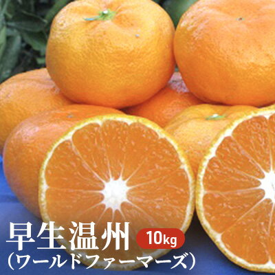 【ふるさと納税】早生温州（ワールドファーマーズ） A01-704　【果物類・みかん・柑橘類】　お届け：2022年11月上旬〜下旬