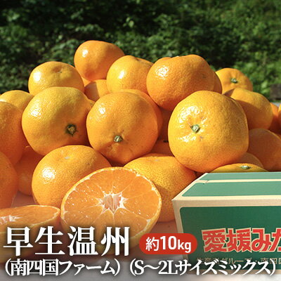 記事番号:33448/アイテムID:359884の画像