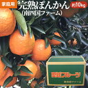 【ふるさと納税】A01-731 完熟ぽんかん（南四国ファーム）　【果物類・みかん・柑橘類・愛媛県産】　お届け：2022年1月下旬〜2月下旬