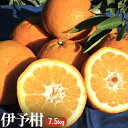 【ふるさと納税】A01-733 伊予柑　【果物類・みかん・柑橘類】　お届け：2022年1月上旬〜2月下旬