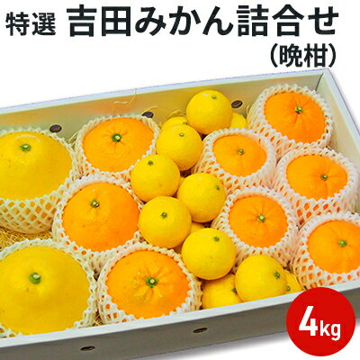 記事番号:35215/アイテムID:359686の画像