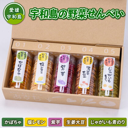 野菜 せんべい 5種 詰め合わせ 塩レモン かぼちゃ 生姜大豆 じゃがいも青のり 紫芋 企業組合津島あぐり工房 手作り 餅粉 煎餅 セット レモン 檸檬 南瓜 生姜 大豆 じゃがいも 青のり のり 芋 いも 菓子 お菓子 おやつ 国産 愛媛 宇和島 J012-066002