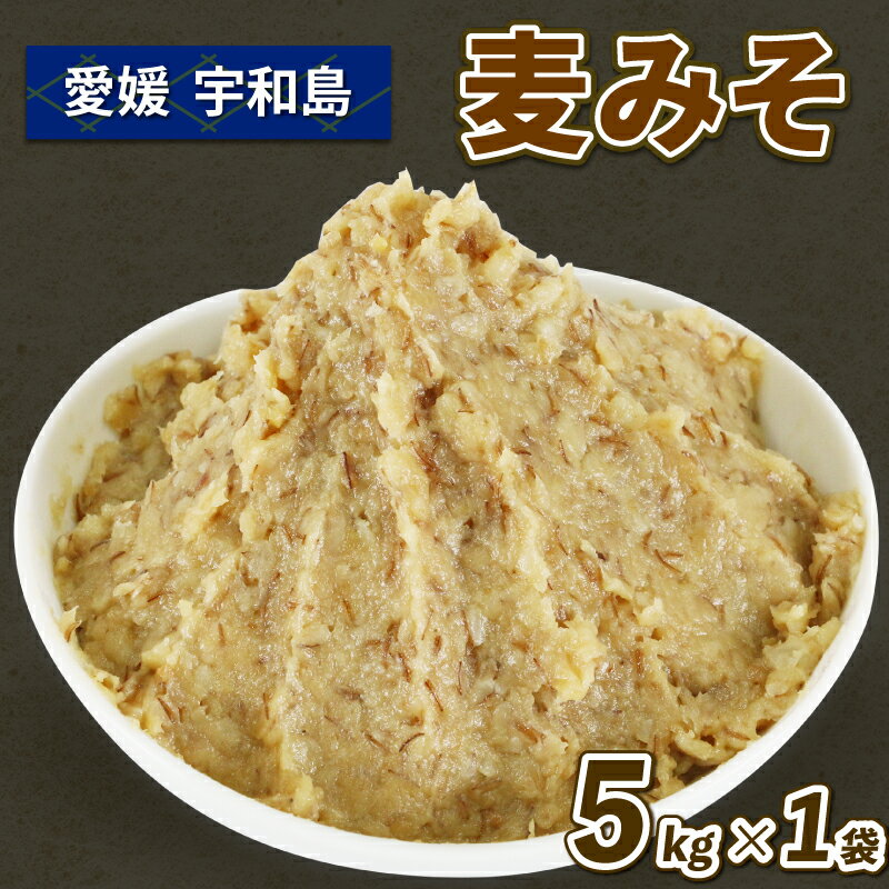 麦味噌 5kg 企業組合津島あぐり工房 麦みそ 味噌 みそ 麦味噌 発酵 発酵調味料 調味料 麦 麹 こうじ 無添加 数量限定 味噌 国産 愛媛 宇和島