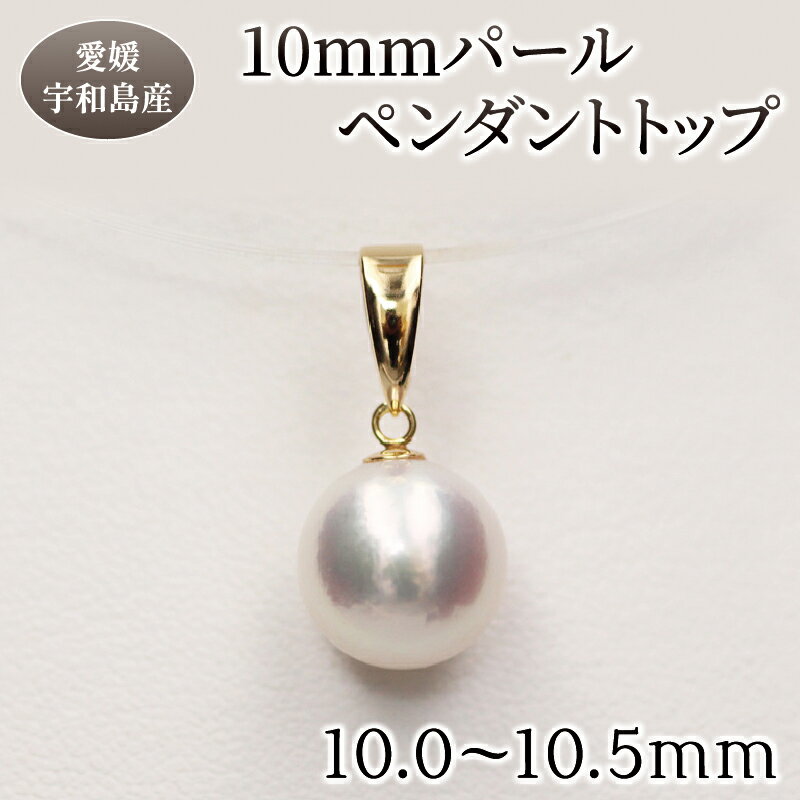 【ふるさと納税】 パール ペンダント トップ 10.0-10.5mm 土居真珠 母の日 真珠 アクセサリー ペンダントトップ アコヤ真珠 本真珠 ファッション カジュアル 冠婚葬祭 慶事 結婚式 卒業式 入学式 お祝い ギフト 贈り物 特産品 国産 愛媛 宇和島 A220-012016