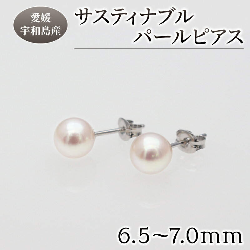 【ふるさと納税】 サスティナブルパールピアス 6.5mm 土居真珠 母の日 真珠 アクセサリー ピアス パールピアス アコヤ真珠 本真珠 ファッション カジュアル フォーマル 冠婚葬祭 慶事 弔事 結婚式 卒業式 入学式 お祝い ギフト 贈り物 特産品 国産 愛媛 宇和島 A018-012018