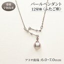 名称 パールペンダント12星座＜ふたご座＞ 内容アコヤ真珠：6.0-7.0mm 金属：シルバー925（ロジウム加工） チェーンの長さ：約40-45cm（アジャスター付き）事業者有限会社　土居真珠配送方法 常温配送お届け時期通年 （12/26～1/5は発送不可） 申込期日通年 備考※画像はイメージです。 ・ふるさと納税よくある質問はこちら ・寄附申込みのキャンセル、返礼品の変更・返品はできません。あらかじめご了承ください。2023年10月1日より寄附額を変更いたしました。 宇和島産あこや真珠のペンダントです。 豊かな海の中で大切に育まれた真珠と、夜空に輝く星座を組み合わせたアクセサリーです。 お守りやパワーストーンとしても親しまれている真珠、身に着けると幸運を呼ぶと言われている12星座のモチーフ。 ふたつの力でやさしく見守ってくれることでしょう。 ※受注生産の為、寄附の日から2か月以内に発送いたします。 （ご寄附の方法により、発送が前後する場合がございます。どうぞご了承お願いいたします。） 【検索用KW】 パール ペンダント 12星座 6.0-7.0mm 土居真珠 ふたご座 星座 真珠 アクセサリー ネックレス パールネックレス アコヤ真珠 本真珠 ファッション カジュアル 冠婚葬祭 慶事 結婚式 卒業式 入学式 お祝い ギフト 贈り物 特産品 国産 愛媛 宇和島 寄附金の用途について 環境　−海・山と共生するための環境保全− やさしさ　−安心・思いやりのあるまちづくり− 教育　−未来を担う子どもたちの育成− 歴史・文化　−歴史・文化の保存及び継承− 産業　−地域の特性を活かした産業の振興− その他　−その他、目的達成のため市長が認めた事業− 受領証明書及びワンストップ特例申請書のお届けについて 入金確認後、注文内容確認画面の【注文者情報】に記載の住所にお送りいたします。 発送の時期は、入金確認後4〜5週間程度を目途に、お礼の特産品とは別にお送りいたします。