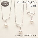 【ふるさと納税】 パール ペンダント 選べる 12星座 6.0-7.0mm 土居真珠 星座 真珠 アクセサリー ネックレス パールネックレス アコヤ真珠 本真珠...