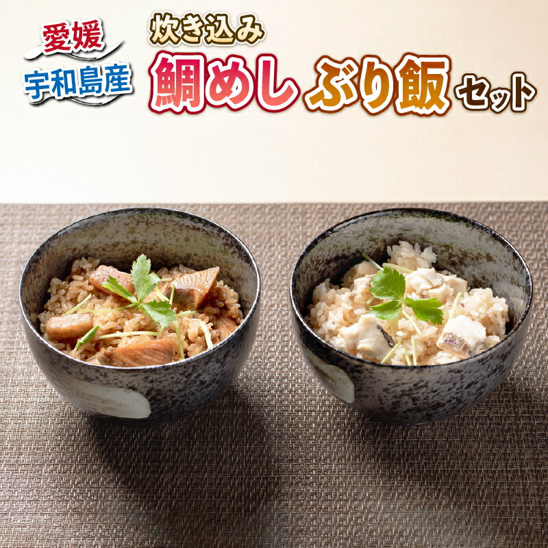 ＼10営業日以内発送/ 炊き込み 鯛めし ぶり飯 セット 詰め合わせ 秀長水産 鯛めしの素 ぶり飯の素 炊き込みごはん 真鯛 鯛 マダイ タイ 鰤 ブリ 簡単 調理 料理 手軽 使い勝手 本格 旨味 食欲 グルメ 冷凍 産地直送 愛媛県産 国産 愛媛 宇和島