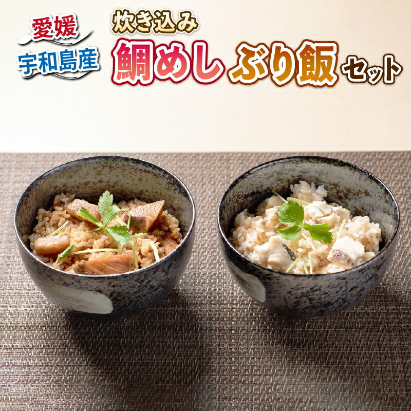 【ふるさと納税】 炊き込み 鯛めし ぶり飯 セット 詰め合わせ 秀長水産 真鯛 鯛 マダイ タイ 鯛めしの素 ぶり飯の素 …